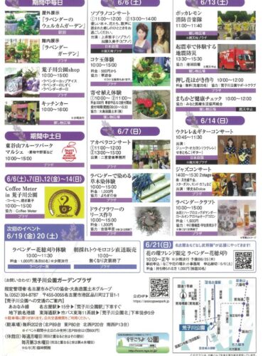20260606荒子川　ラベンダーフェア裏のサムネイル
